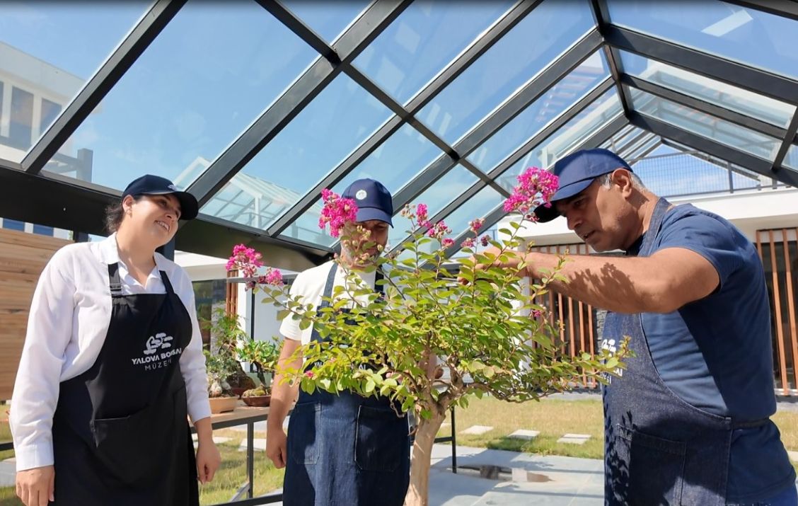 Yalova Bonsai Müzesi